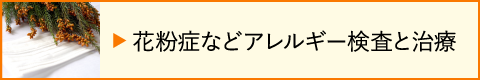 花粉症などアレルギー検査と治療