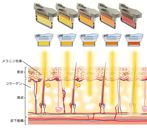 様々な肌トラブルを同時に改善